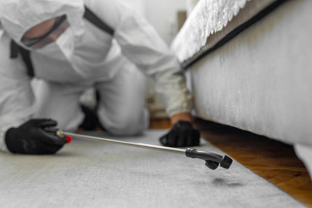 Professional Termite Control technician working in Ankeny, IA